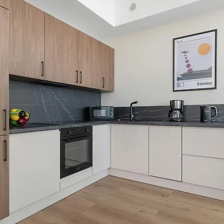 Air Conditioned In Center With Parking By Renters Prestige * Κατοβίτσε